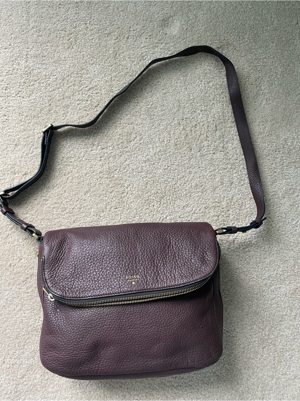 Fossil Pebbled Leather Crossbody in Deep Plum with Gold Hardware - Picture 2 of 7